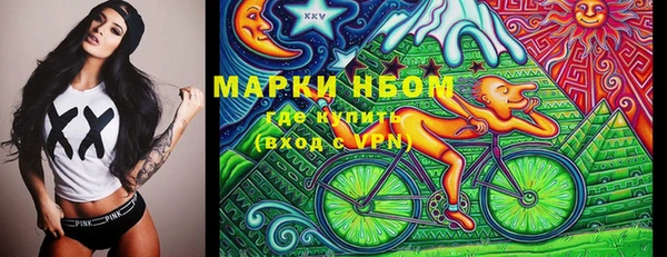 ешки Аркадак