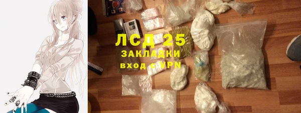 ешки Аркадак