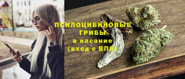 ешки Аркадак