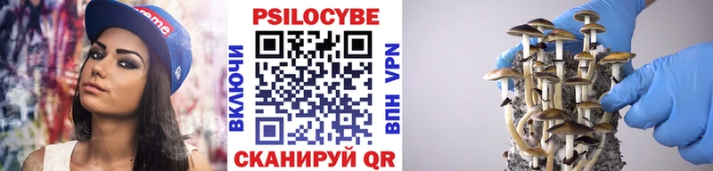 Псилоцибиновые грибы Cubensis  сколько стоит  Покров 